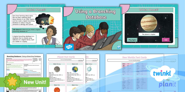 Computing: Branching Databases: Using a Branching Database Year 3 Lesson 4