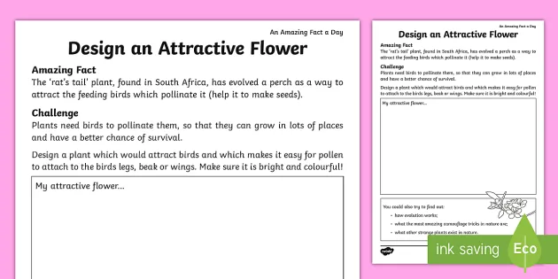 Design An Attractive Flower Worksheet Worksheet
