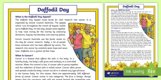 Free Daffodil Day Fact File Year 3 6 Teacher Made 