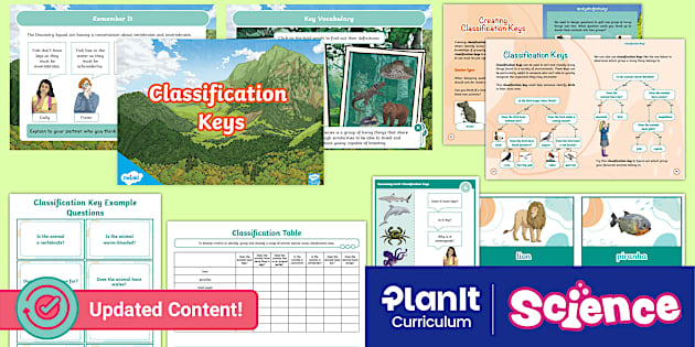 Y4 Living Things & Their Habitats Classification Keys Lesson