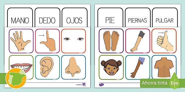 Tarjetas de emparejar - Las partes del cuerpo (teacher made)