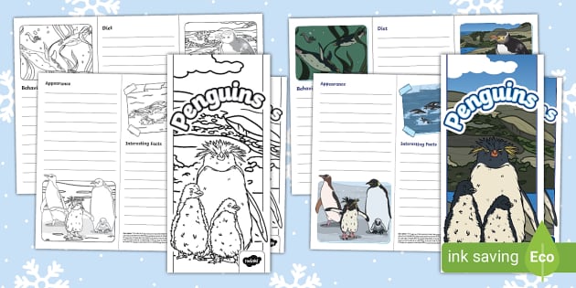 Penguin Leaflet Template (Teacher-Made) - Twinkl