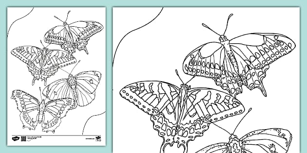 butterfly coloring page