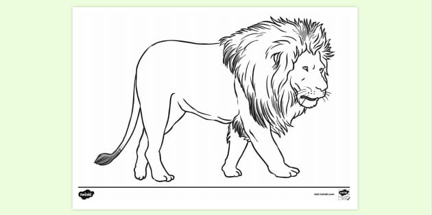 Lion head and flowers - Lions Adult Coloring Pages