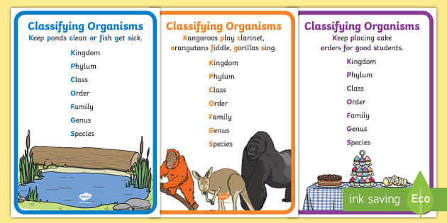 linnaeus classification system for kids