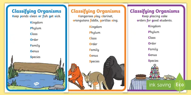 carolus linnaeus system of classification of living things