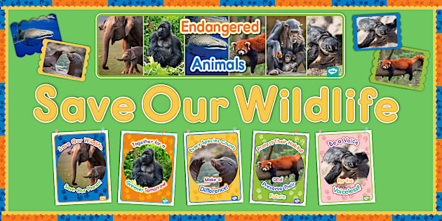 Endangered Animals Bulletin Board Pack