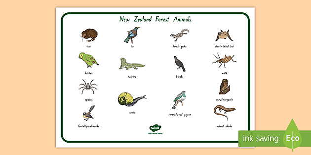 New Zealand Forest Animals Word Mat (teacher made) - Twinkl