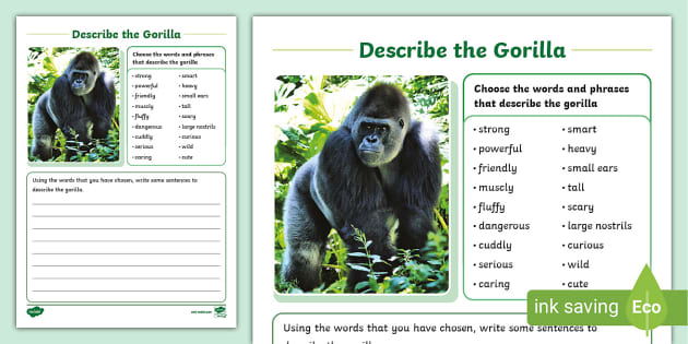write a short essay on gorilla