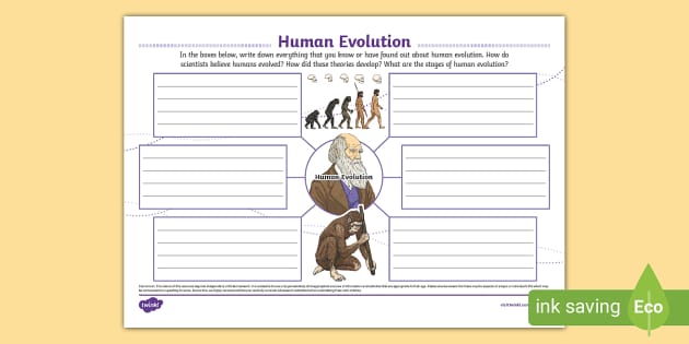 Human Evolution Mind Map (teacher made) - Twinkl