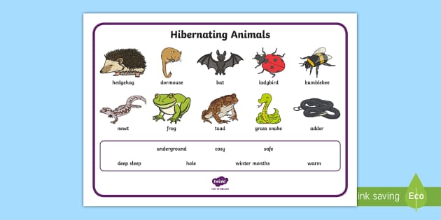 Hibernating Animals Word Mat | Twinkl Resources - Twinkl
