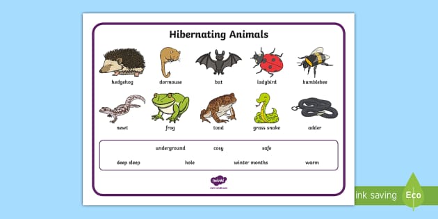 hibernating-animals-word-mat-twinkl-resources-twinkl