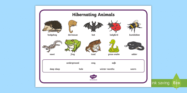 Hibernating animal coloring pages