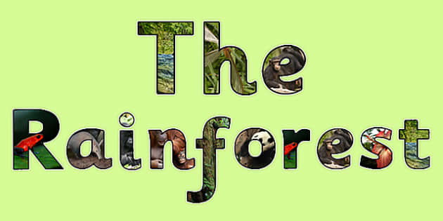 The Rainforest Photo Display Lettering - rainforest, letters