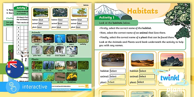 Animal Habitats PowerPoint - Teaching Resource - Twinkl