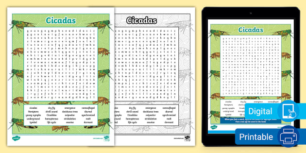 Cicadas Word Search for 6th-8th Grade (teacher made)