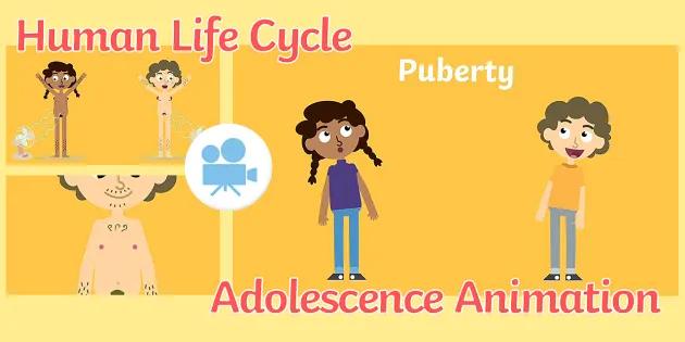 Human Life Cycle: KS2 Adolescence Animation | Twinkl Go!