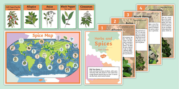 I. Introduction to Spices and Herbs