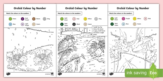 FREE! - Orchid Colour by Number Pages (teacher made)