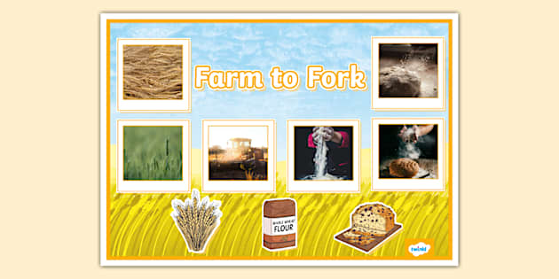 Farm to Fork Photo Display Poster (teacher made) - Twinkl