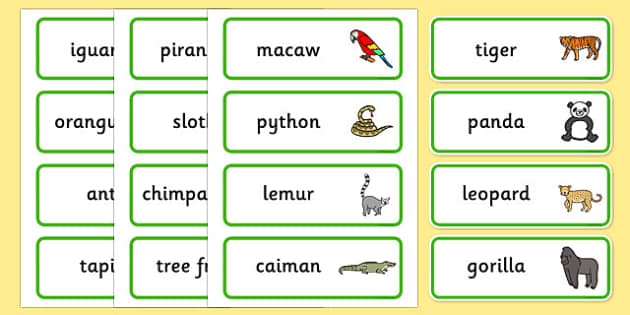 FREE! - Jungle & Rainforest Word Cards (teacher made)