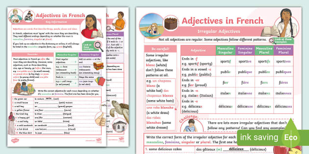 French Agreement of Adjectives and Irregular Adjectives List - Etsy Ireland