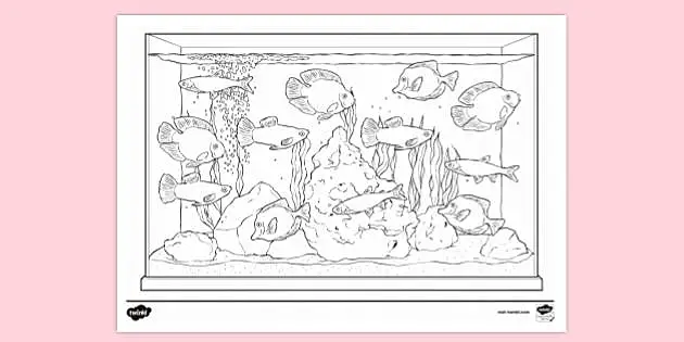 empty aquarium coloring page