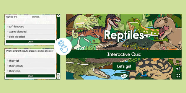 Reptiles Interactive Quiz for K-2nd Grade - Twinkl