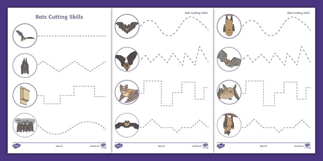 Bat Cutting Skills Worksheet (teacher made) - Twinkl