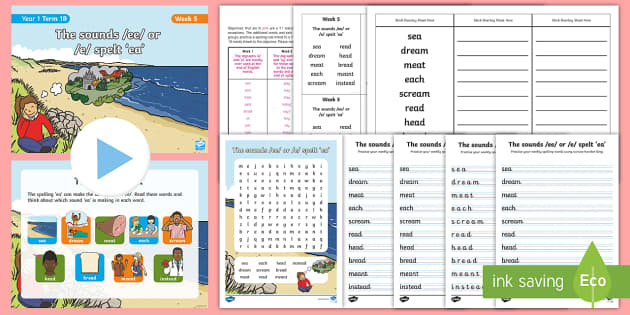 Year 1 Term 1B Week 5 Spelling Pack (teacher Made) - Twinkl