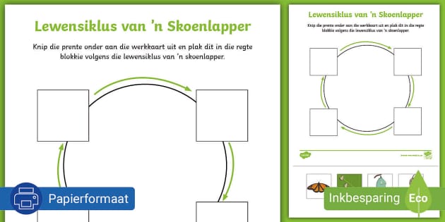 Skoenlapper Lewensiklus Aktiwiteitsblad (teacher made)