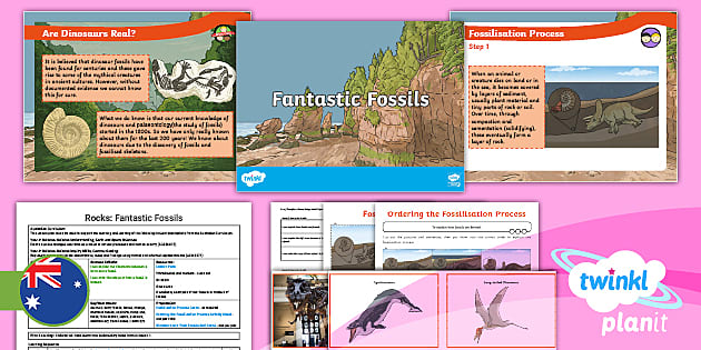 Year 4 Science Rocks Lesson 3 Fantastic Fossils