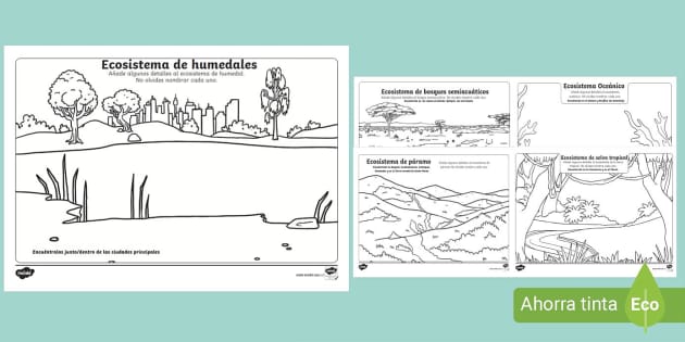 dibujo del ecosistema terrestre