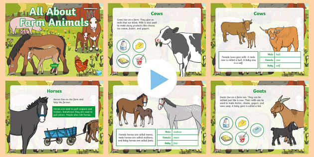 All About Farm Animals PowerPoint - Early Childhood Animals, Animals, Pre-K