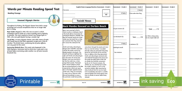 english baseline assessment grade 5 test paper printable