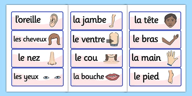 french-body-parts-vocabulary-cards-france-languages-eal