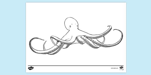 Octopus For Adults Coloring Pages - Free & Printable!
