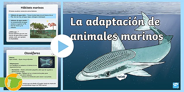 Presentación: La adaptación de los animales marinos