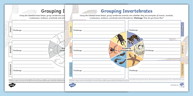 Grouping Invertebrates Mind Map (Teacher-Made) - Twinkl