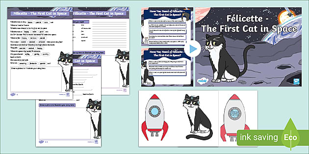 The First Cat in Space Lesson | CfE Early Level Resources