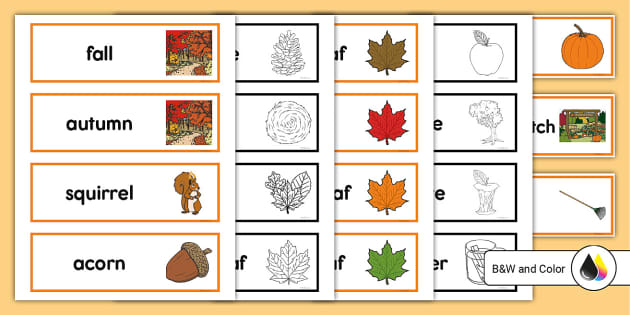 English Alphabet Word Wall Vocabulary Cards and Letter Cards