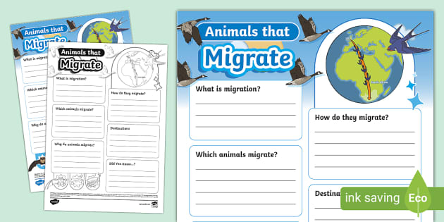 Animals That Migrate Fact File Template Twinkl