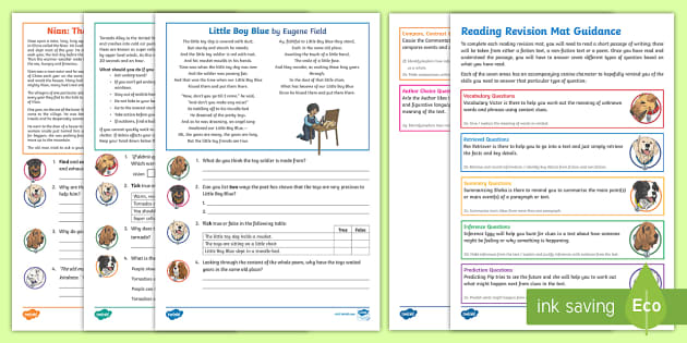 SATs Survival Year 6: Reading Revision Activity Mat Pack3 - SATs