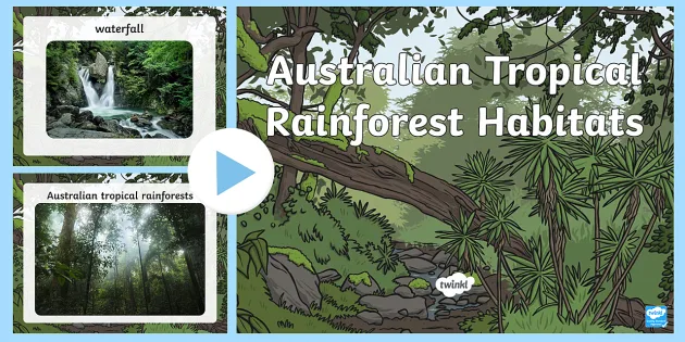 Rainforest as Habitats PowerPoint - Science Resources