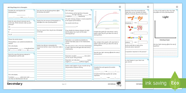 AQA Biology (Combined) Unit 4: Bioenergetics Higher Revision Activity Mat