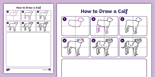 How to Draw a Calf (nauczyciel wykonał) - Twinkl