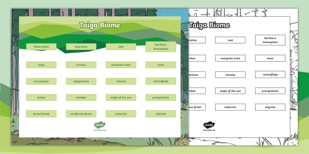 Taiga Plant and Animal Adaptations Worksheets