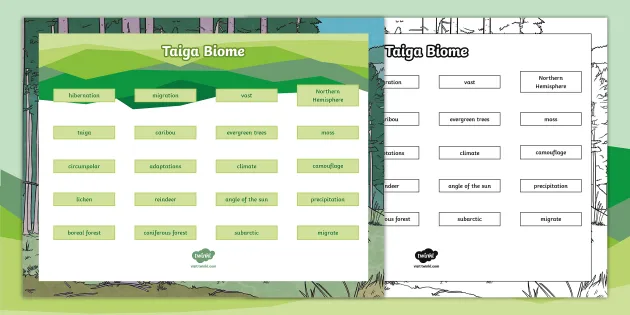 Biomes Taiga (coniferous forest) Distribution of taiga - ppt video