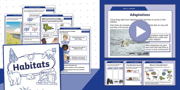 Step into Science: Y4: Summer: Block 2: Habitats Steps 1 to 4