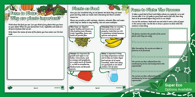 Farm to Plate Activity Pack: Why Are Plants Important?